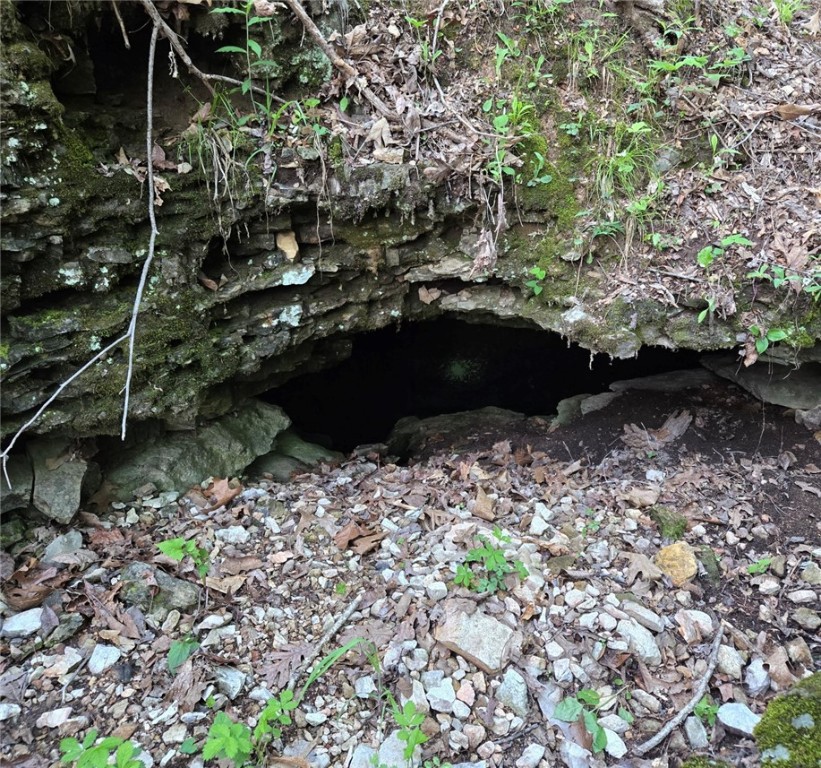 Image 13