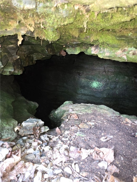 Image 14