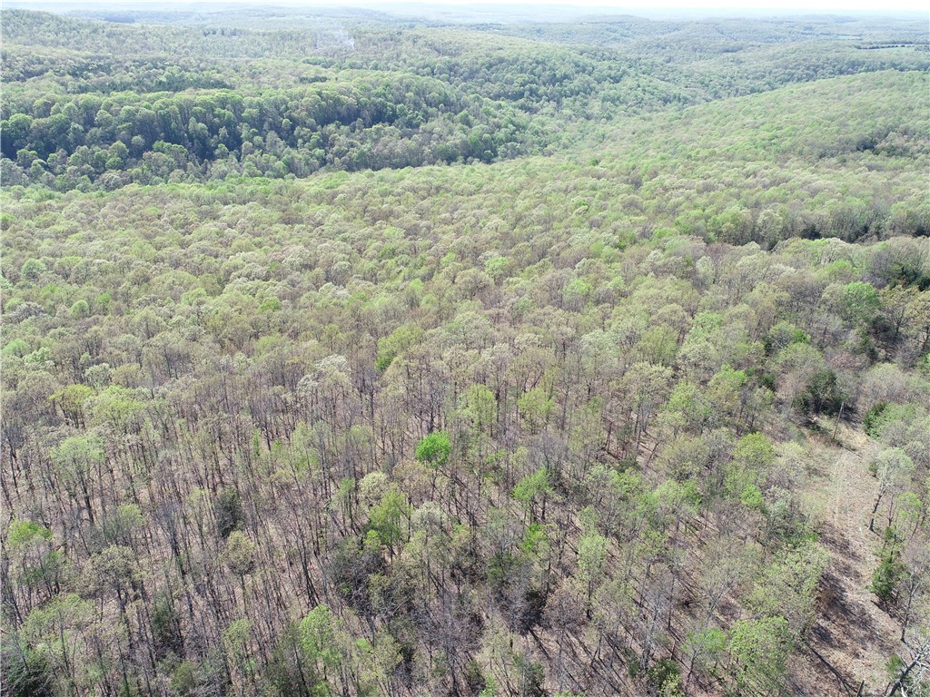 Image 13
