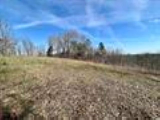 Image 15