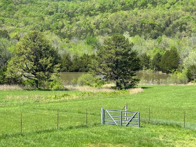 Image 45