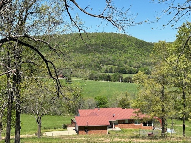 Image 46