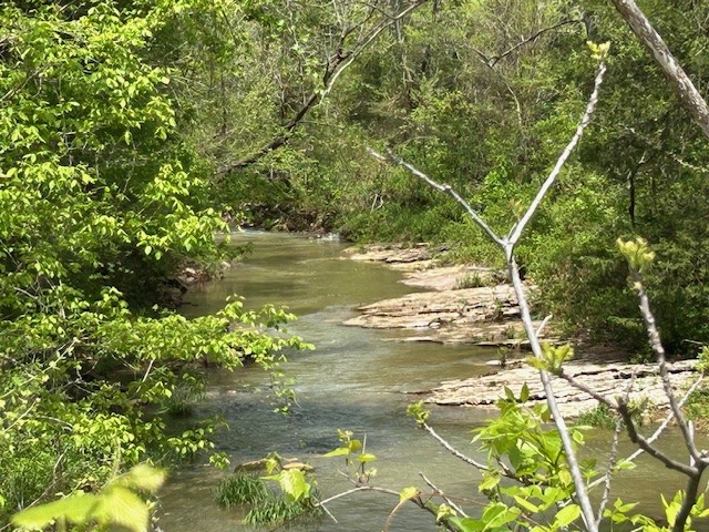 Image 53
