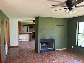 Image 13