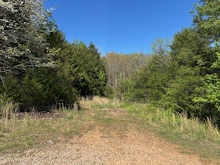 Image 35