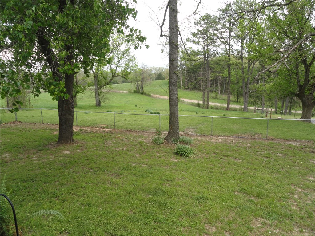 Image 15