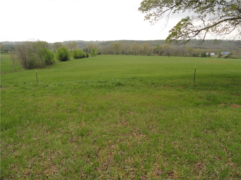 Image 16