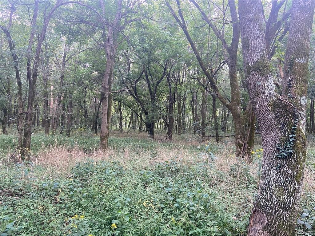 Image 13