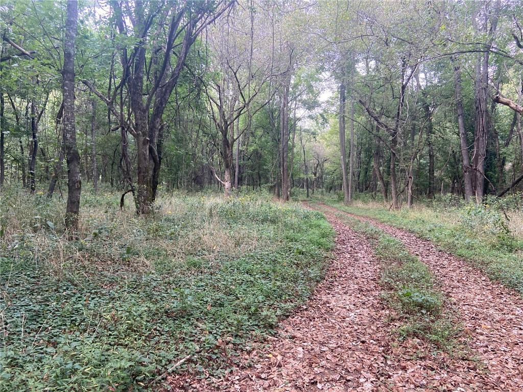 Image 15