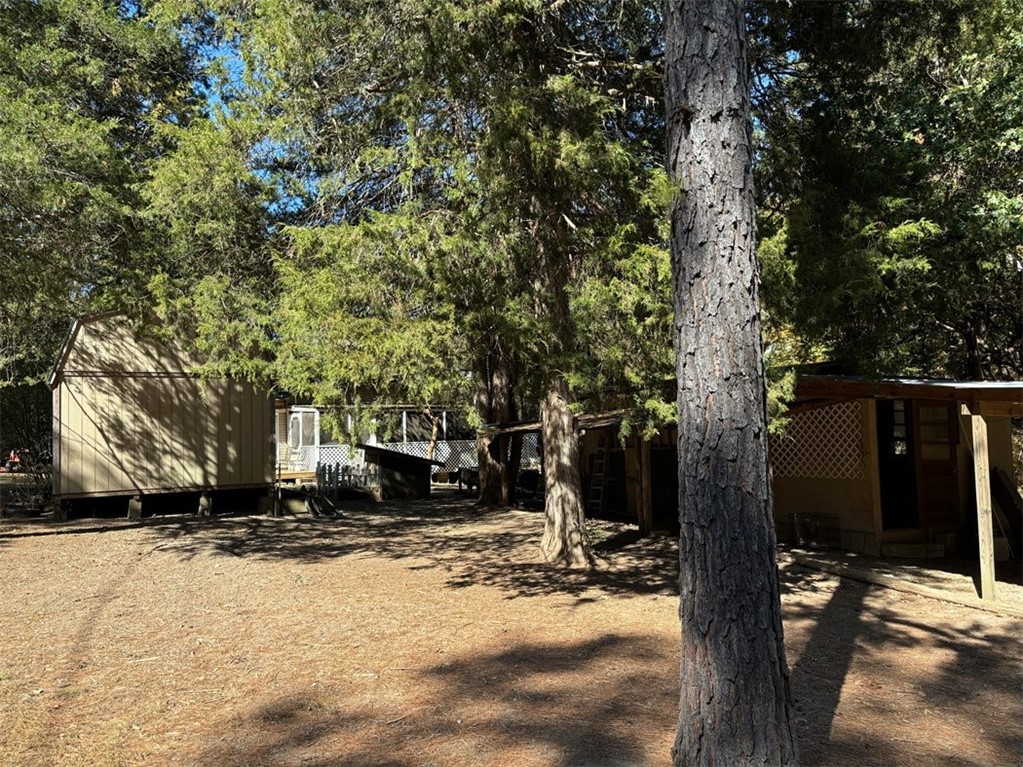 Image 35