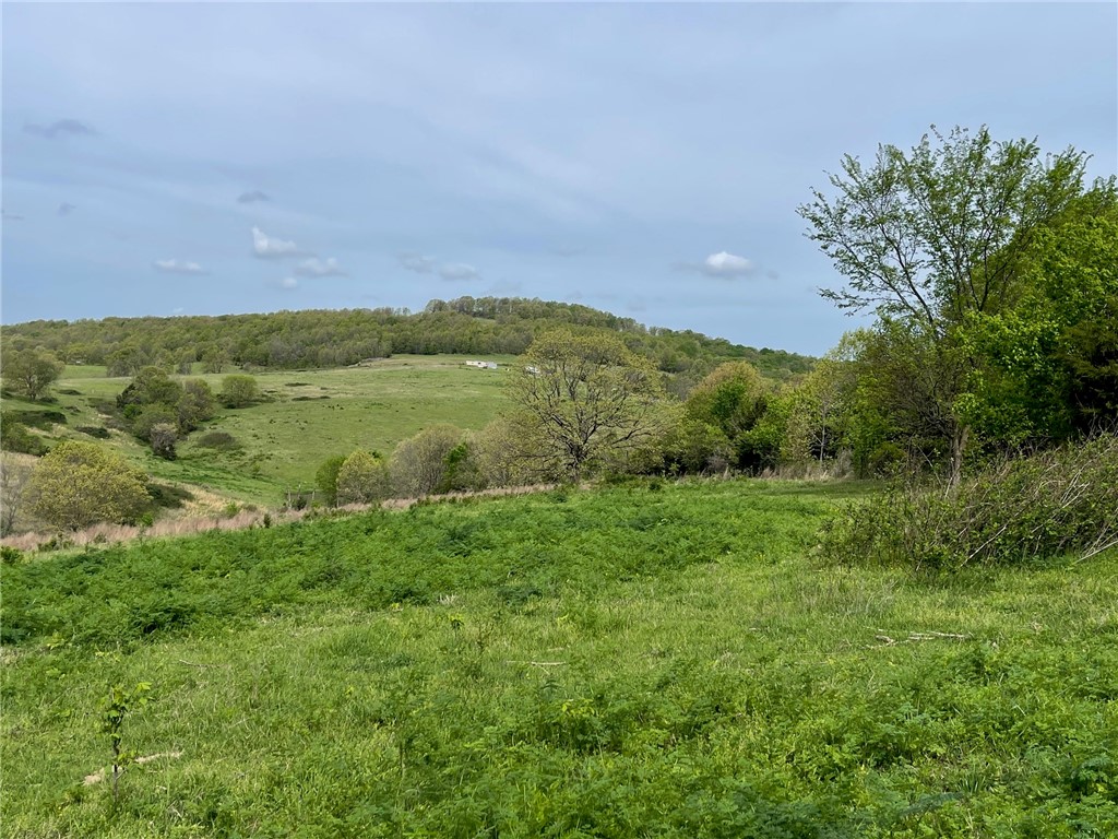 Image 13