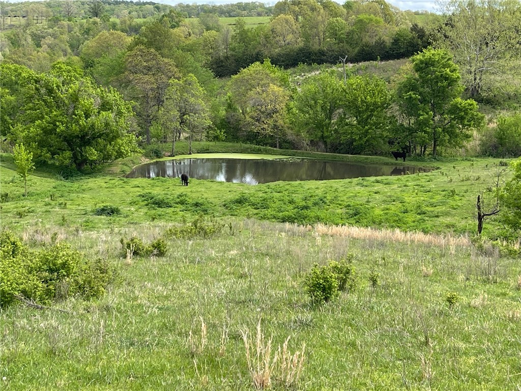 Image 14