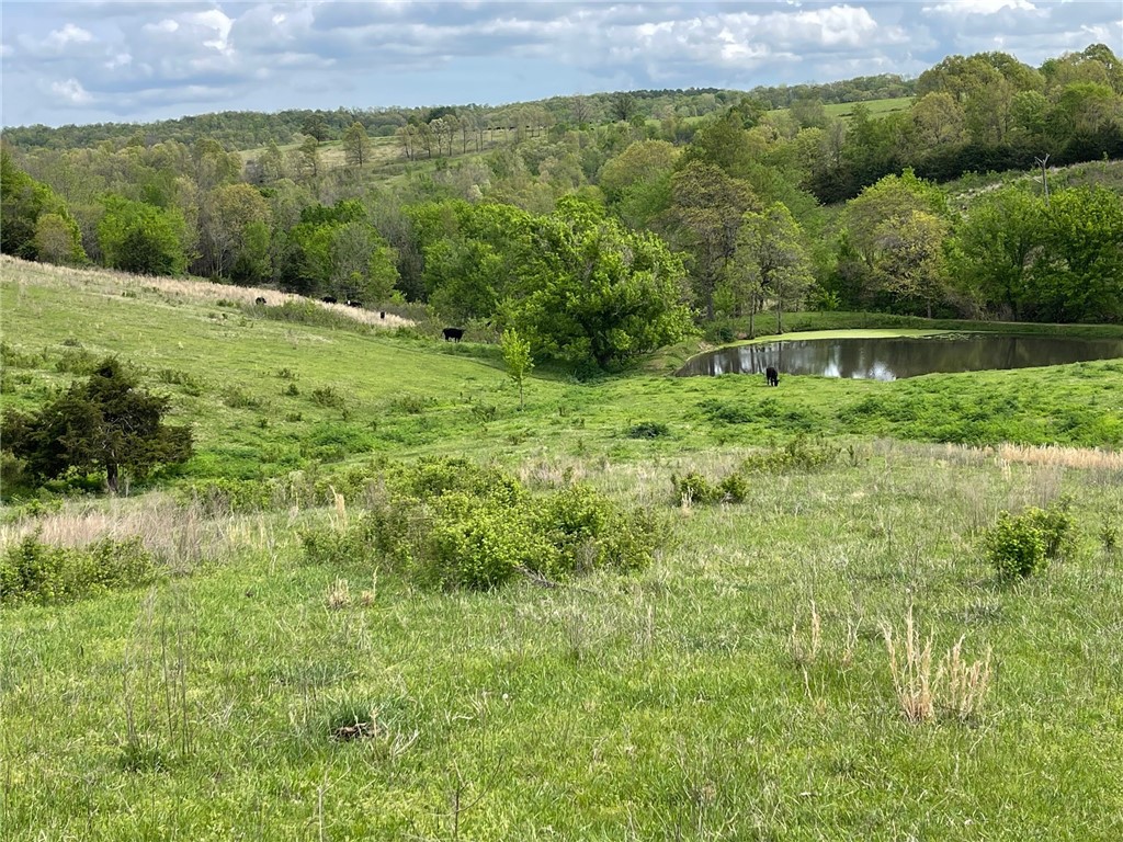 Image 15