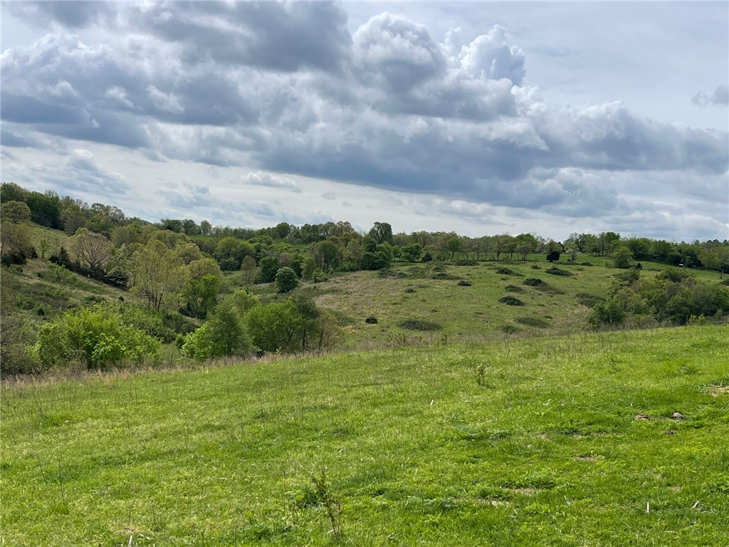Image 16