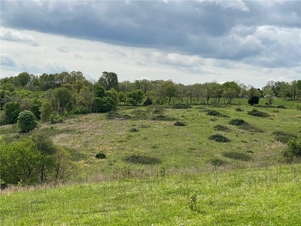 Image 17