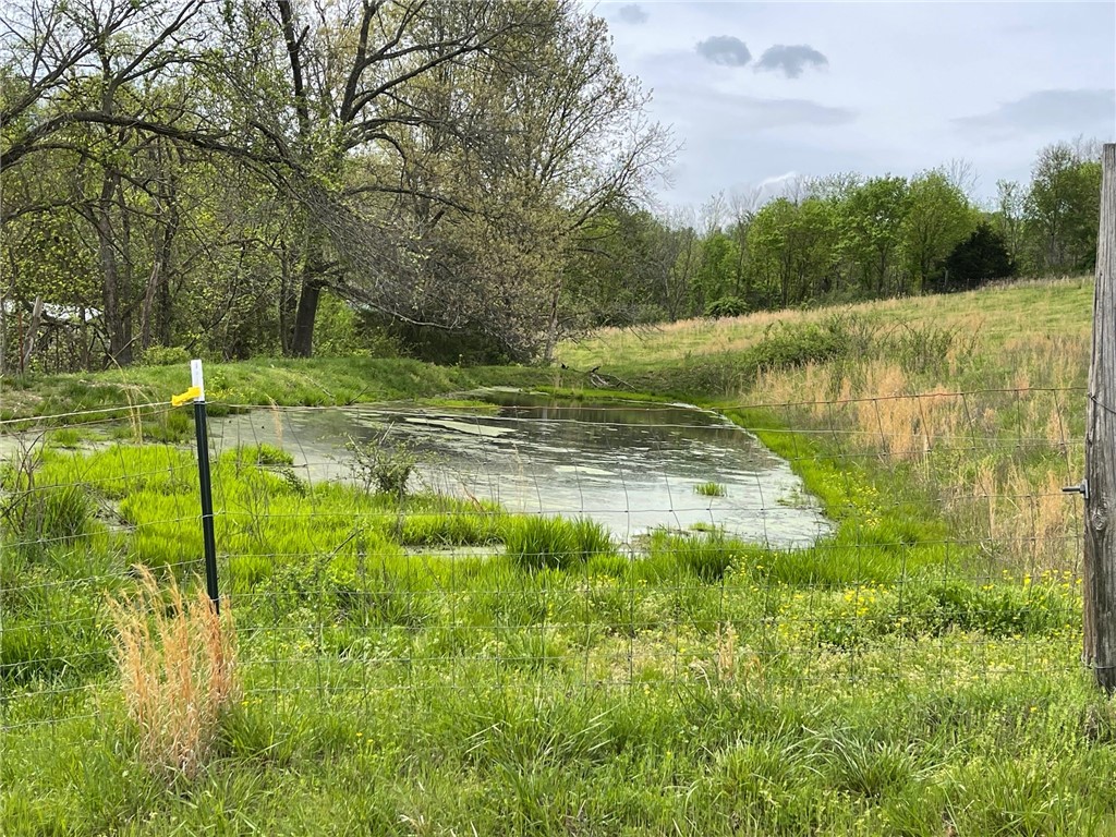 Image 18