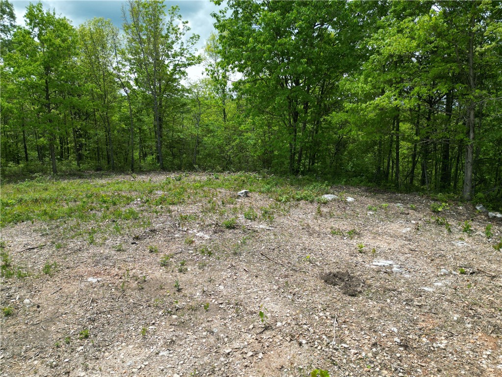 Image 13