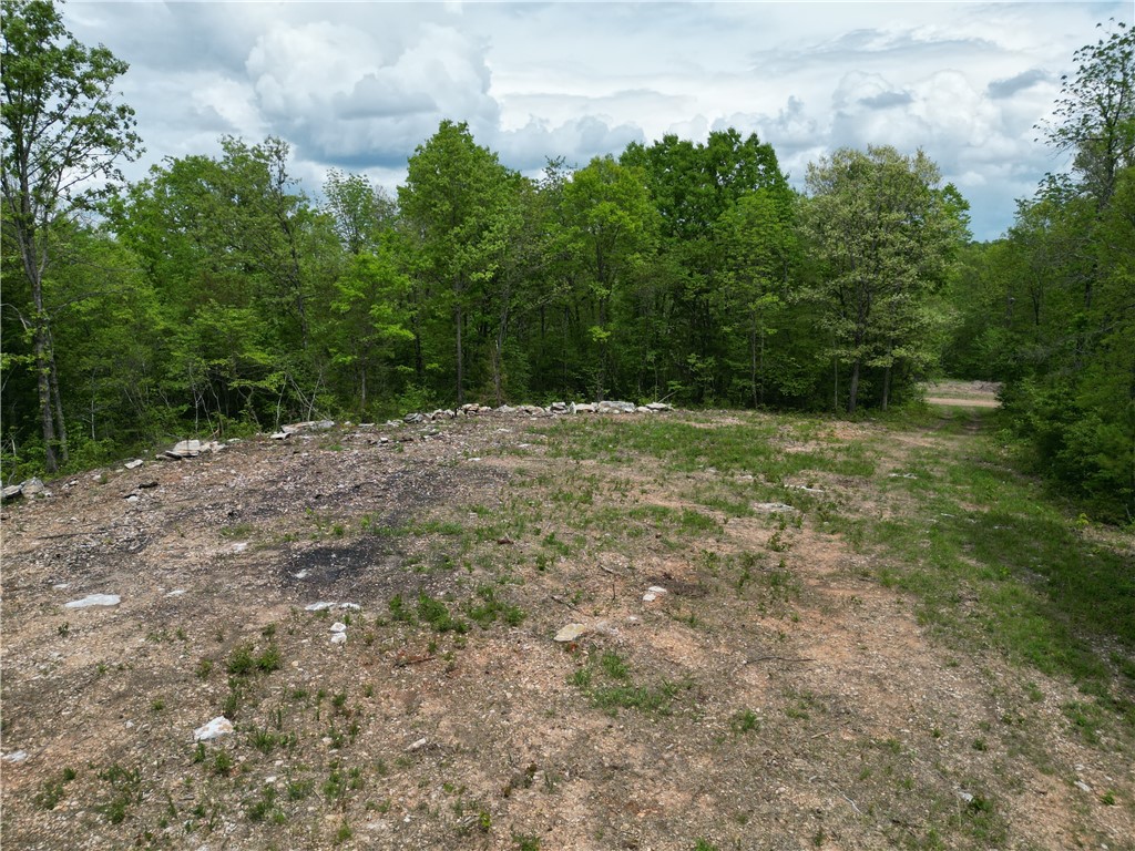 Image 14