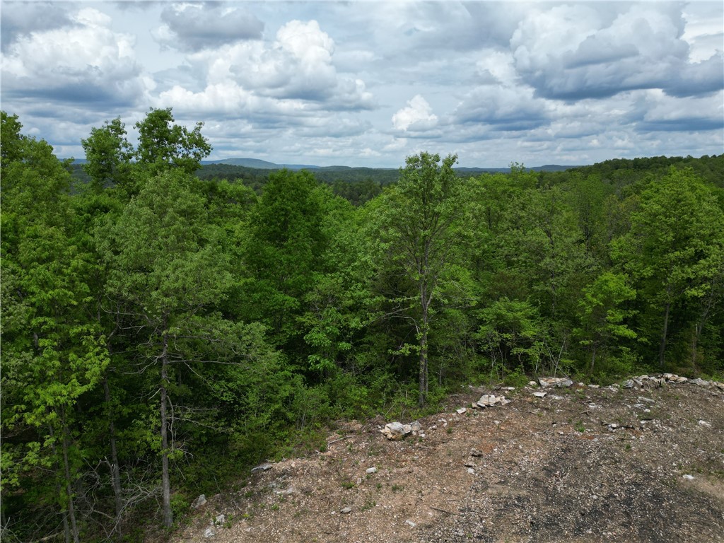 Image 15
