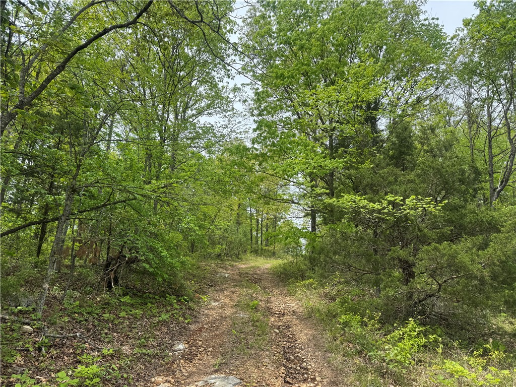 Image 19