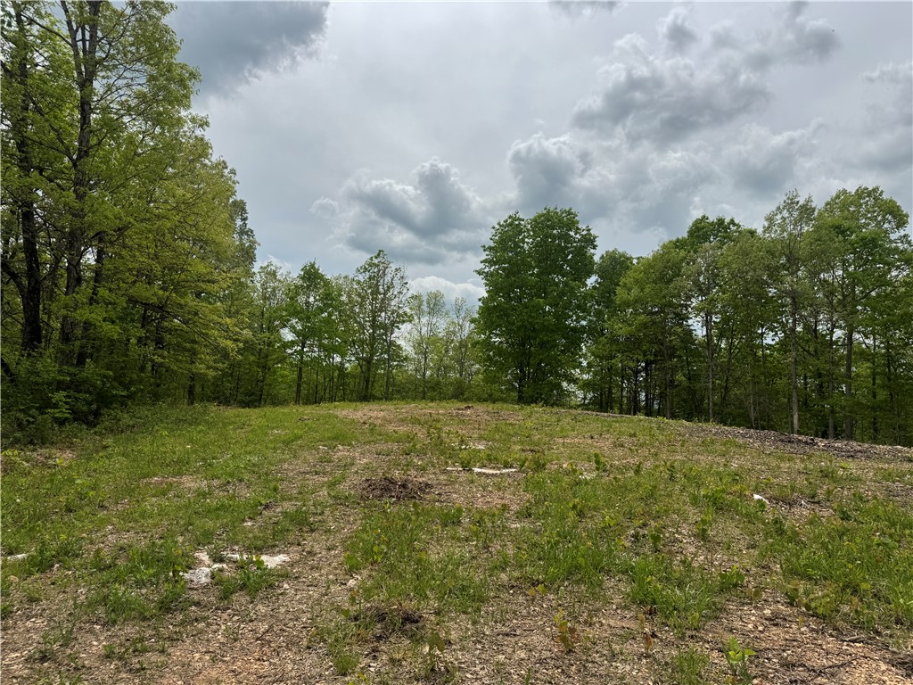 Image 21