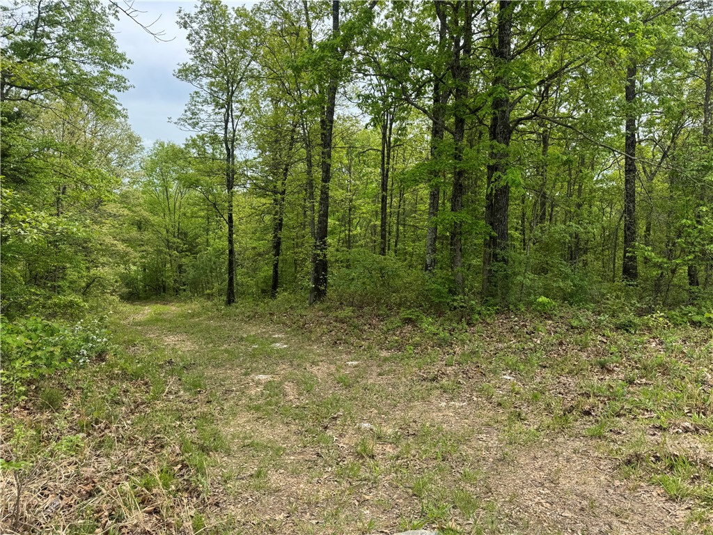Image 22