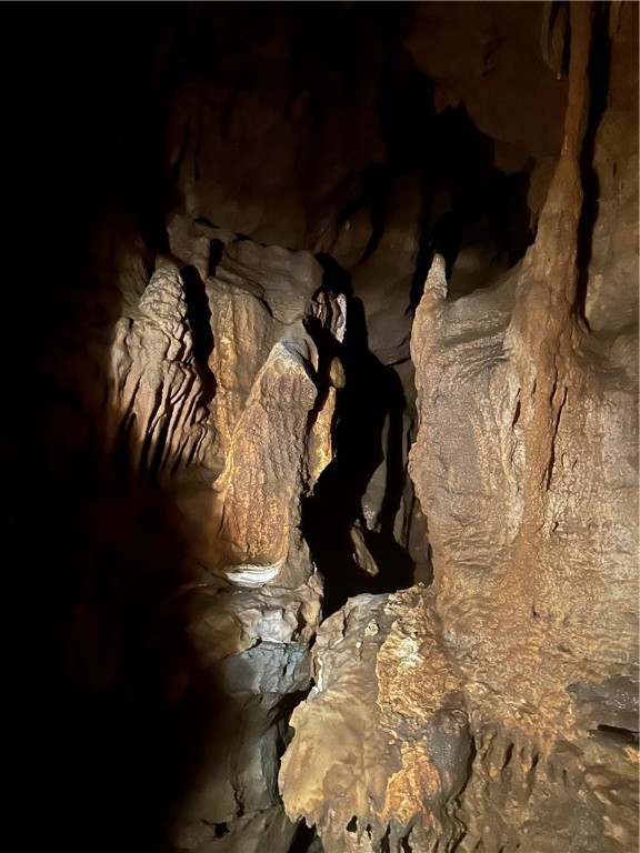 Image 13