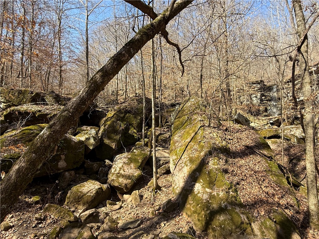 Image 18