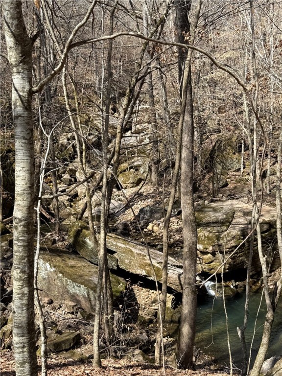 Image 19