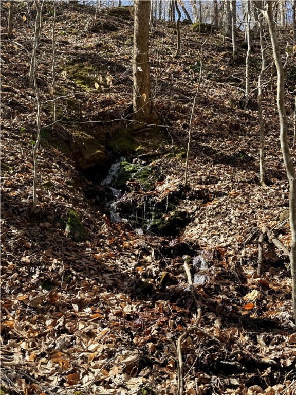 Image 21
