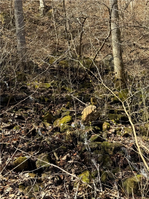 Image 22