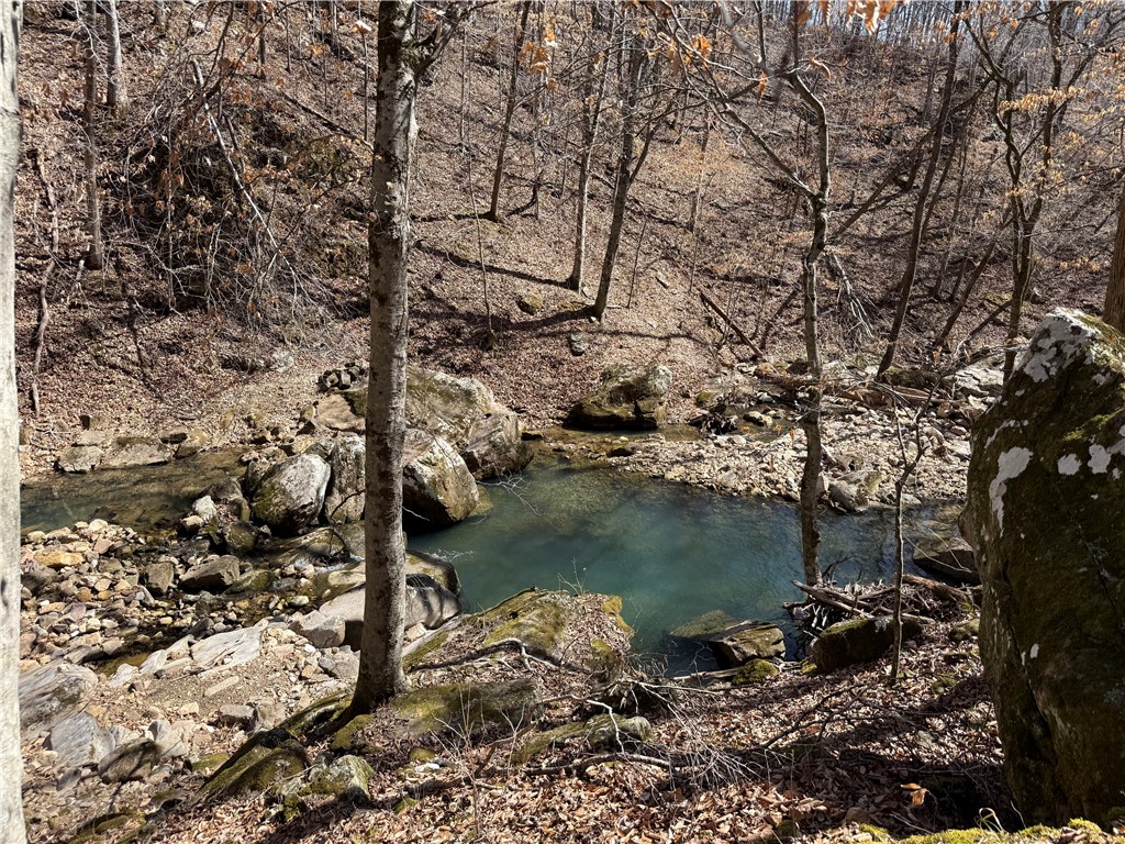 Image 23
