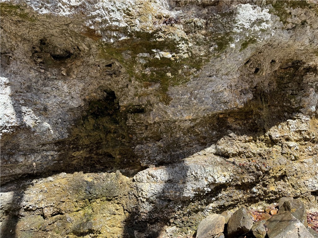 Image 26