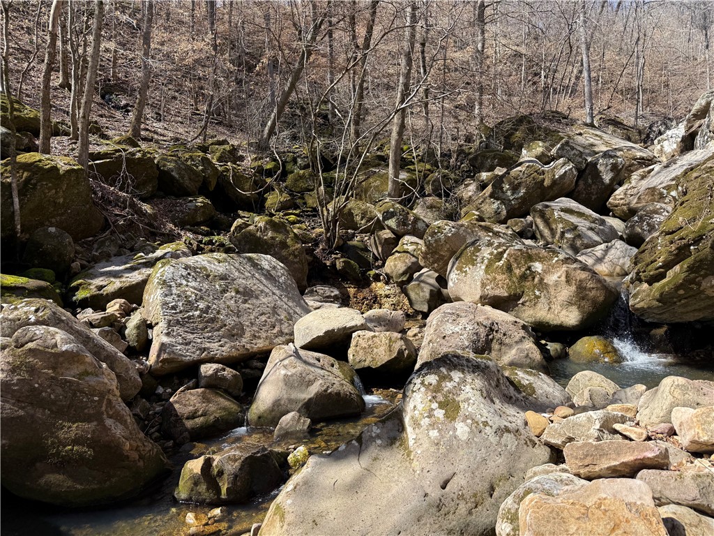 Image 29
