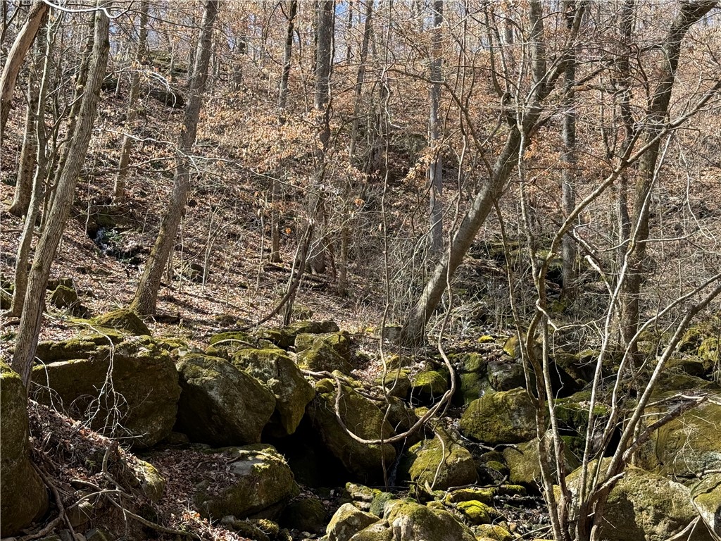 Image 30