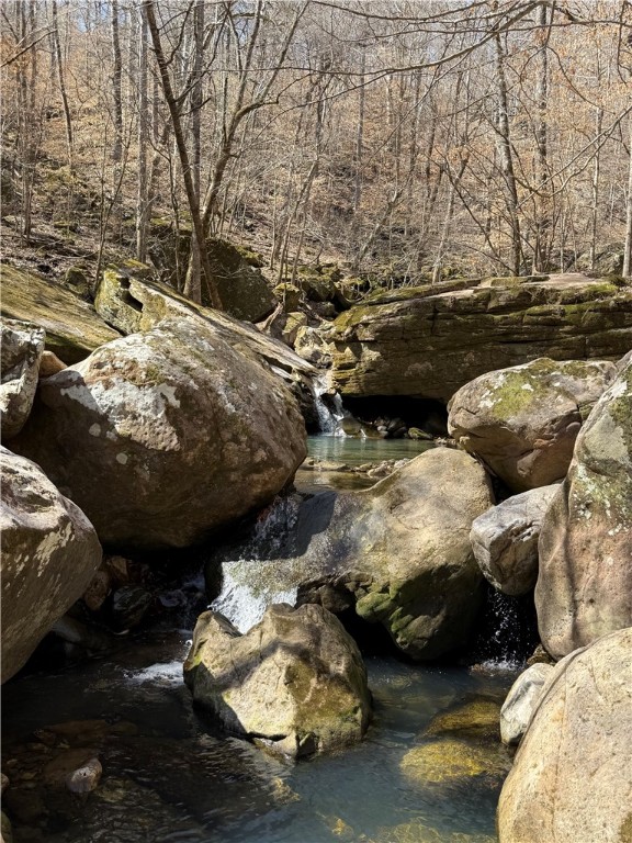 Image 31