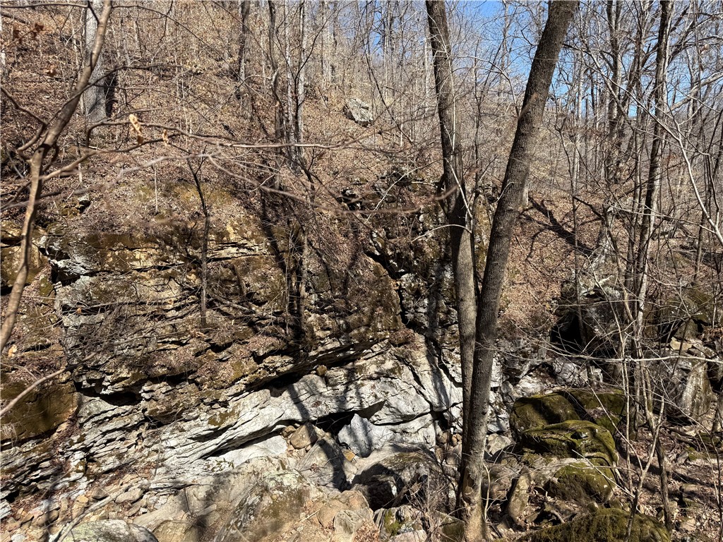 Image 33