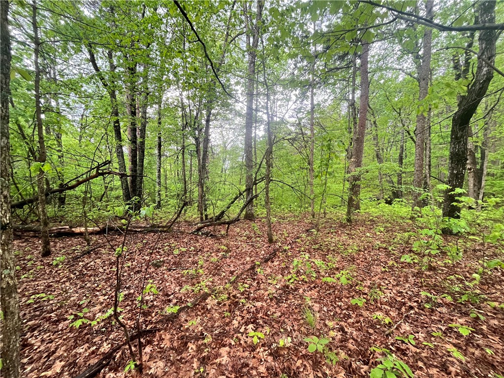 Image 14