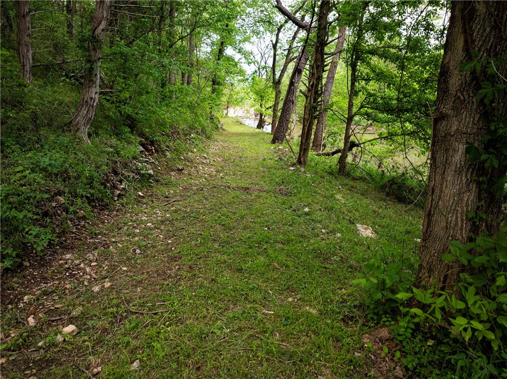 Image 10