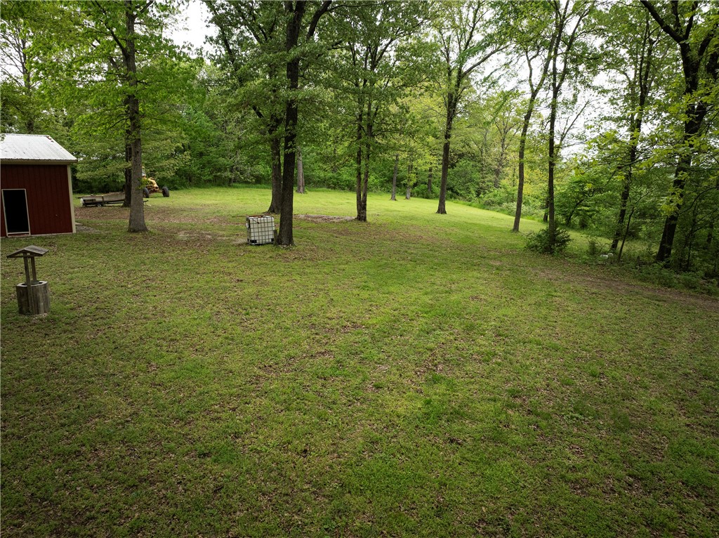 Image 15