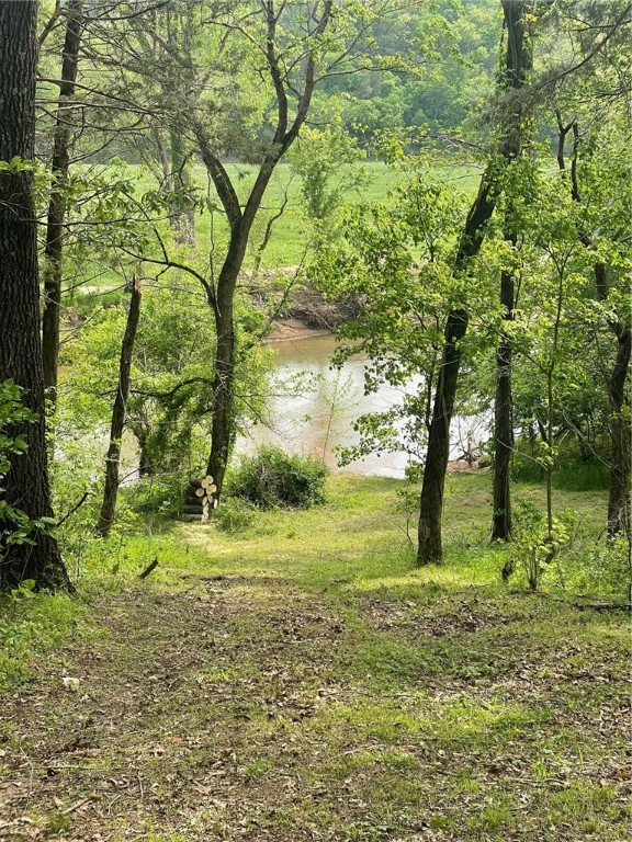 Image 19