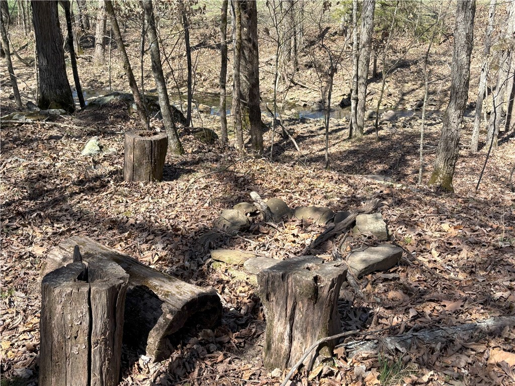 Image 10