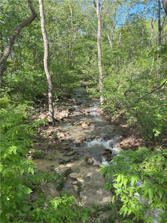 Image 13