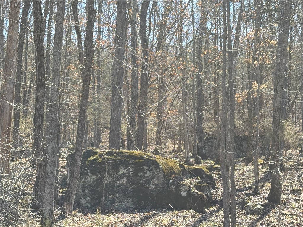 Image 9