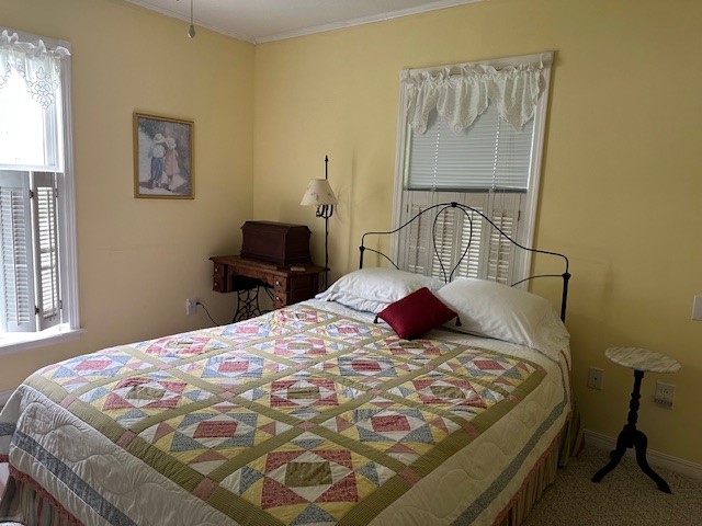 Image 11