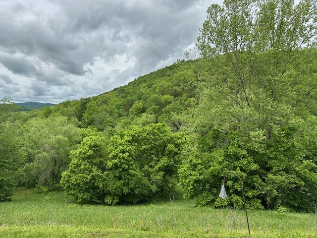 Image 23