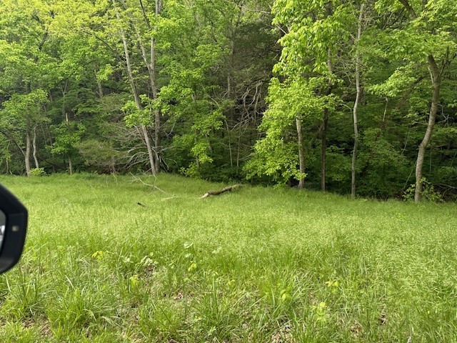 Image 24