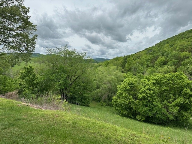 Image 27