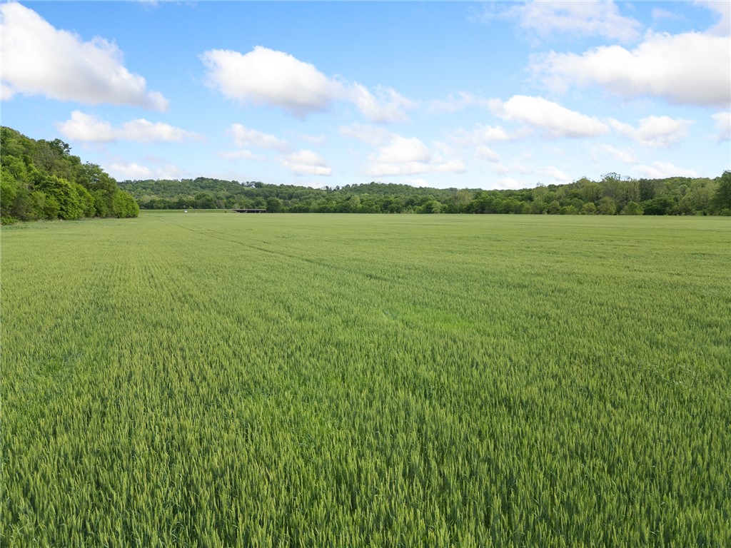 Image 13