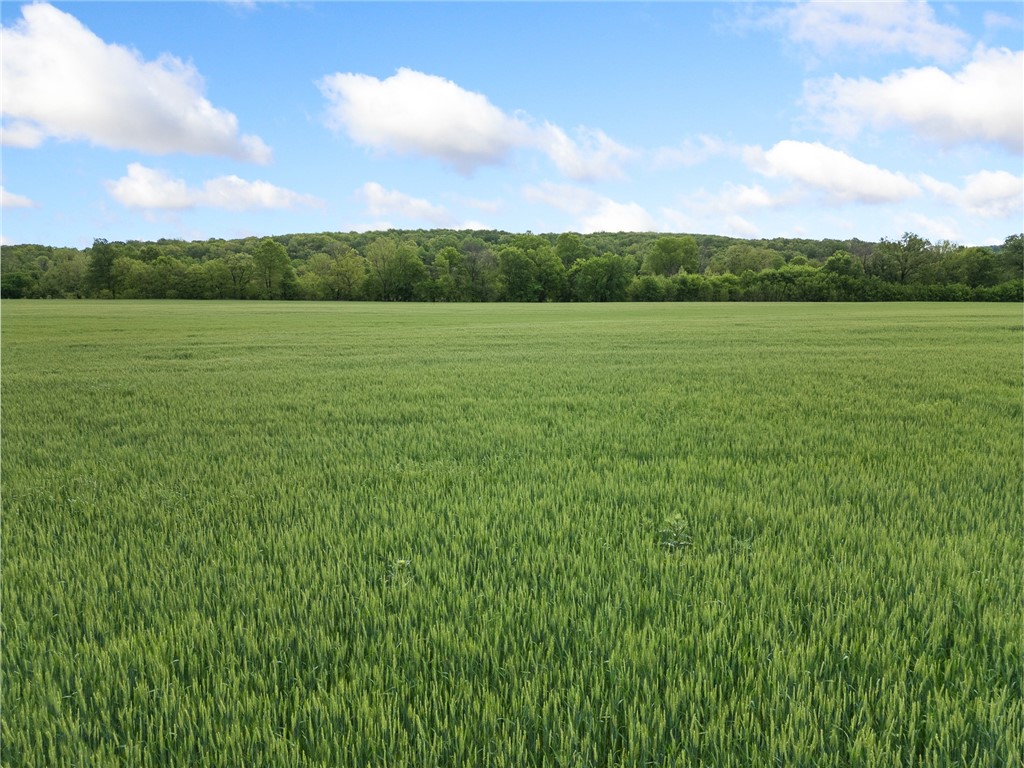 Image 14